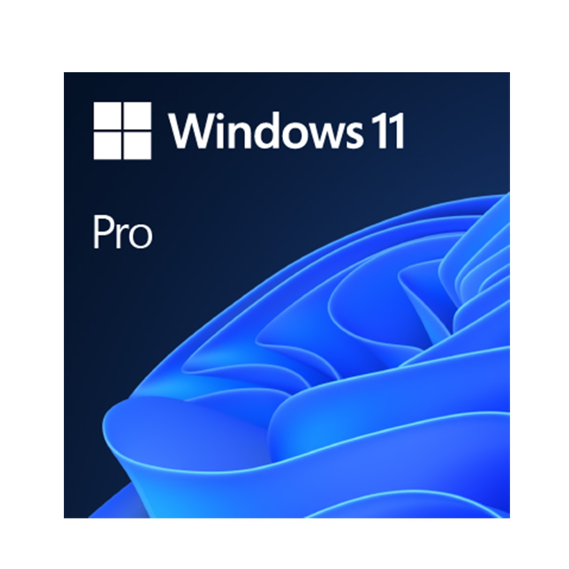 96SW-WIN11-64-EN - Windows 11 Professional 64-bit English USA